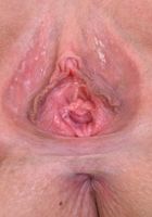Violet Winters from ATK Exotics