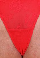 Violet Winters from ATK Exotics