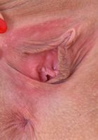 Violet Winters from ATK Exotics