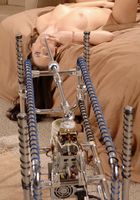 Yvette Balcano from ATK Exotics