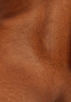 Yvette strips to expose her beautiful body, Yvette (yve006) ATK Exotics: Yvette (Yvette strips to expose her beautiful body)