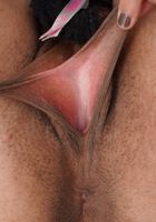 Zerella Skies sexy lingerie strip off and Pussy Gaping, Zerella Skies (zer001) ATK Exotics: Zerella Skies (Zerella Skies sexy lingerie strip off and Pussy Gaping)