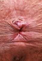 Zoey Jpeg from ATK Natural & Hairy